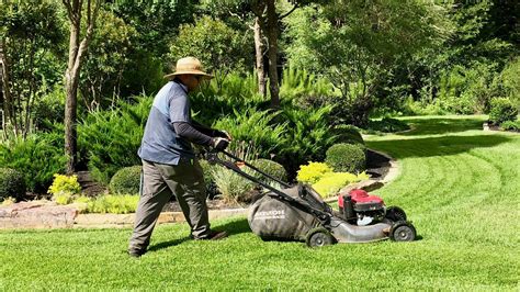 Mowing 